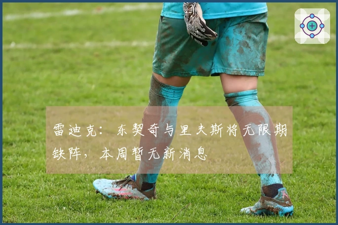 雷迪克：东契奇与里夫斯将无限期缺阵，本周暂无新消息